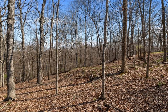 510 Big Richland Dr, Waverly, TN 37185