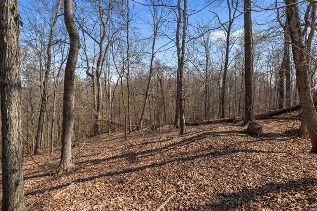 510 Big Richland Dr, Waverly, TN 37185