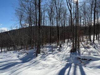 S-1c Great Roaring Brook Road S-1c, Plymouth, VT 05056