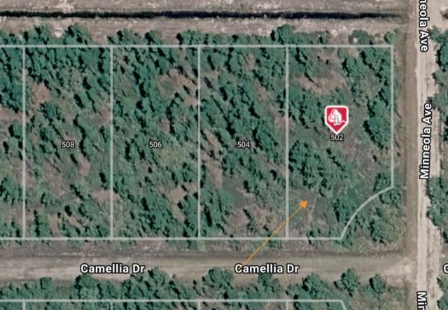 502 CAMELLIA DRIVE, Indian Lake Estates, FL 33855