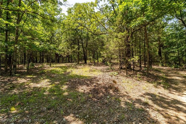 5565 282 Highway, Rudy, AR 72952