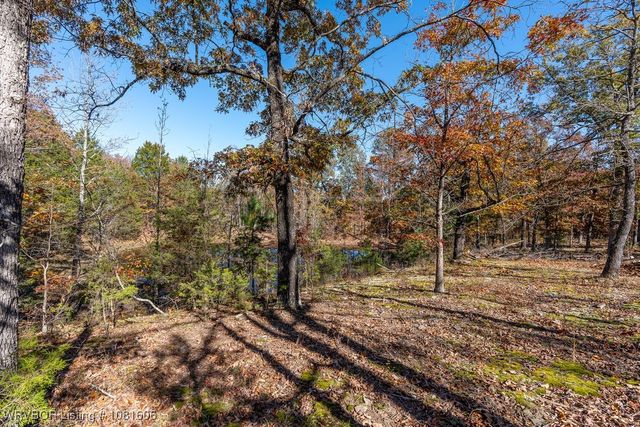 5565 282 Highway, Rudy, AR 72952