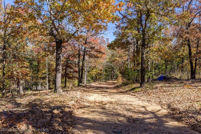 5565 282 Highway, Rudy, AR 72952