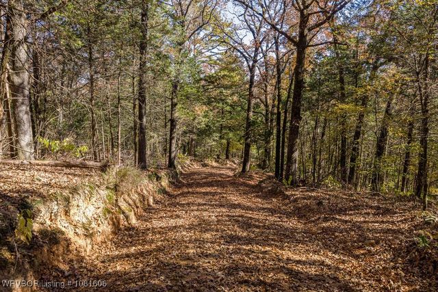 5565 282 Highway, Rudy, AR 72952