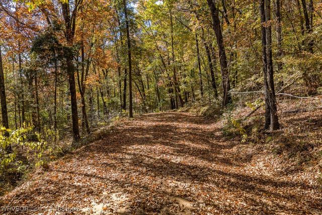 5565 282 Highway, Rudy, AR 72952