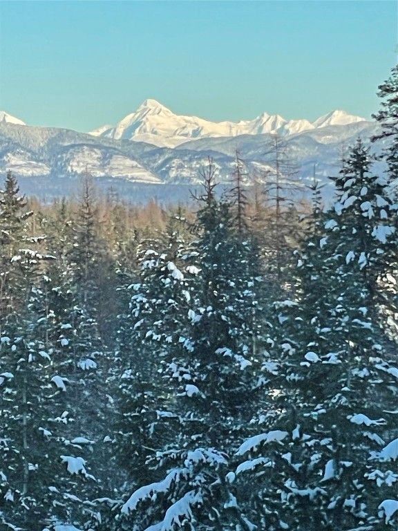 1263 Spencer Ridge Road, Whitefish, MT 59937 photo 98