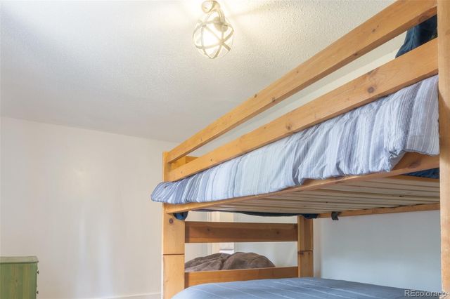 291 Doris Drive, Breckenridge, CO 80424