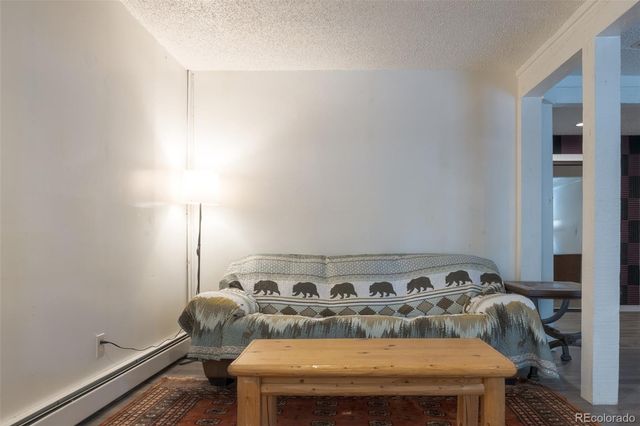 291 Doris Drive, Breckenridge, CO 80424