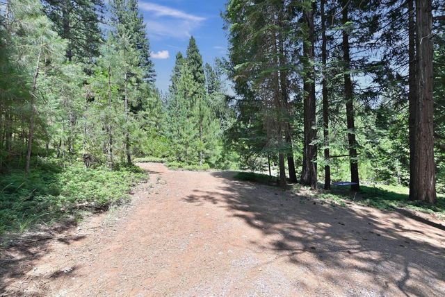 1303 Lily Valley Cir, West Point, CA 95255