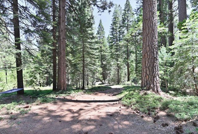 1303 Lily Valley Cir, West Point, CA 95255