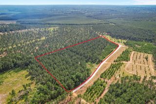 0000 Richardson Road E, Livingston, TX 77351