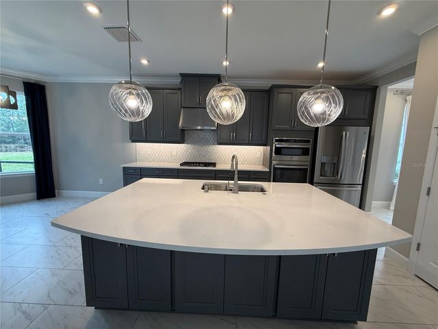 33314 CASTAWAY LOOP, Wesley Chapel, FL 33543