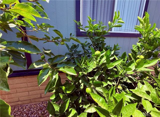 1456 E Philadelphia 311, Ontario, CA 91761