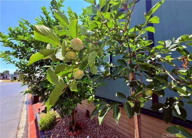 1456 E Philadelphia 311, Ontario, CA 91761