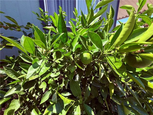 1456 E Philadelphia 311, Ontario, CA 91761