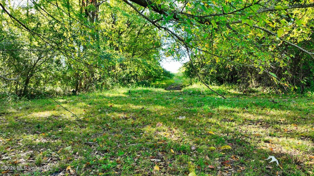 0 Hacks Cross Road, Olive Branch, MS 38654 — photo 5