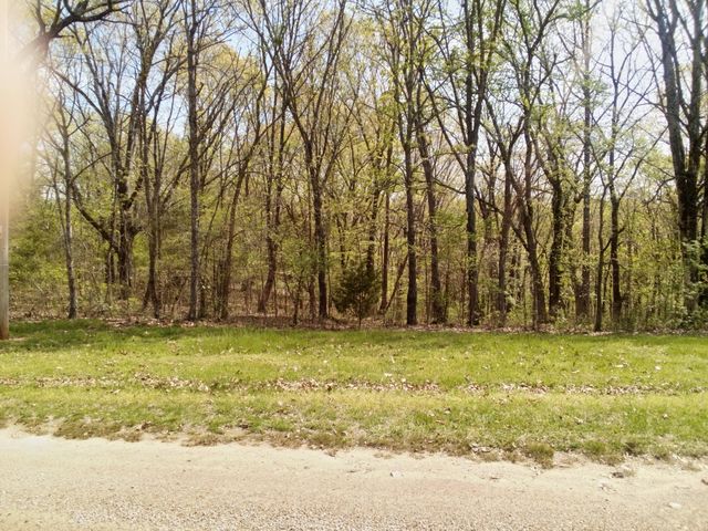 000 Serenity Ridge Road, Ozark, MO 65721