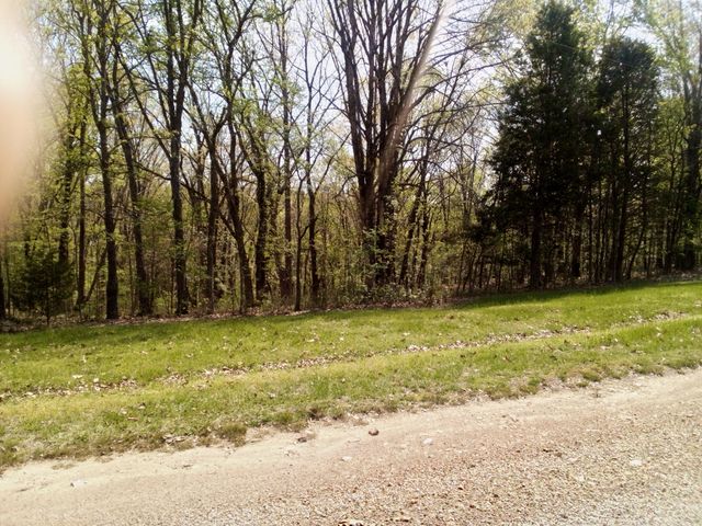 000 Serenity Ridge Road, Ozark, MO 65721