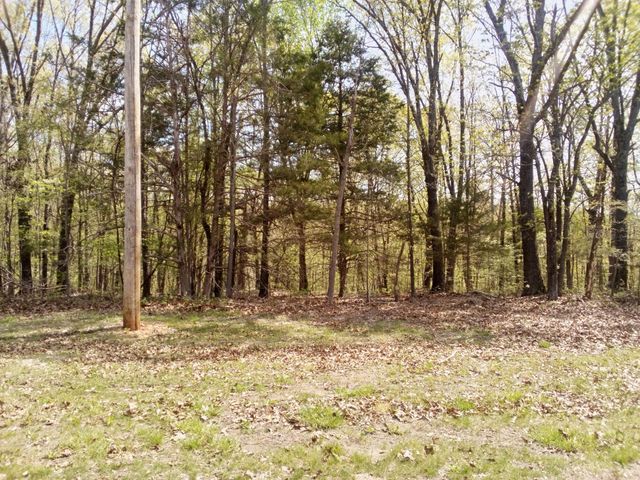 000 Serenity Ridge Road, Ozark, MO 65721