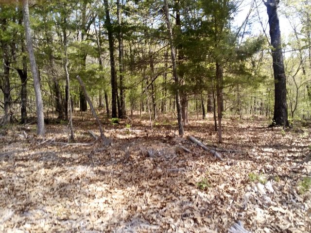 000 Serenity Ridge Road, Ozark, MO 65721