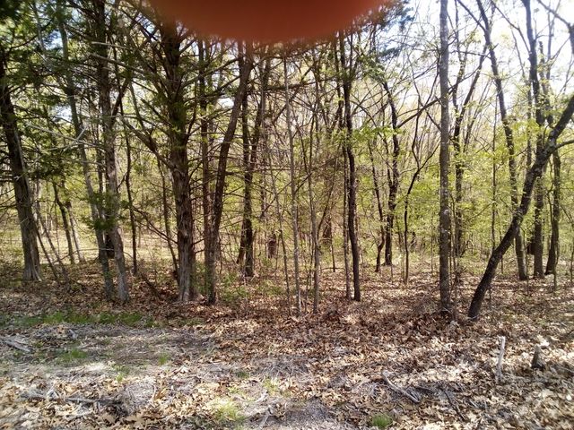 000 Serenity Ridge Road, Ozark, MO 65721