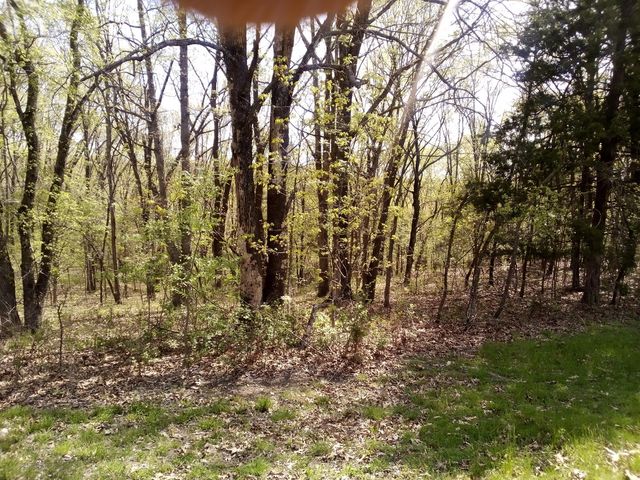 000 Serenity Ridge Road, Ozark, MO 65721