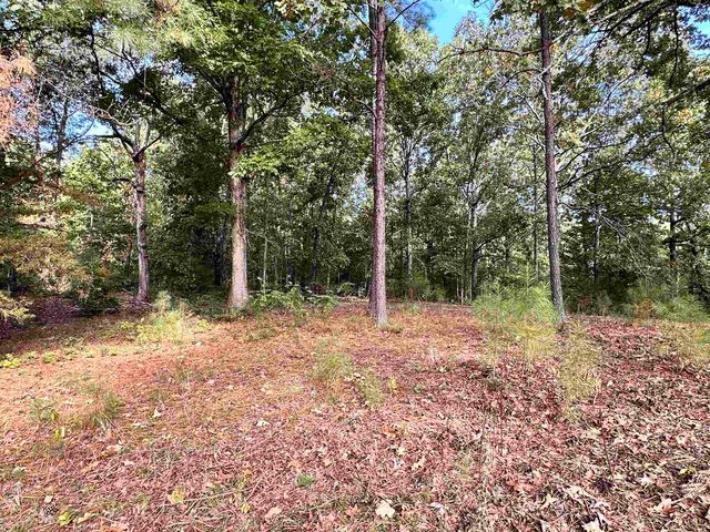 106 Edna Avenue, Highland, AR 72542