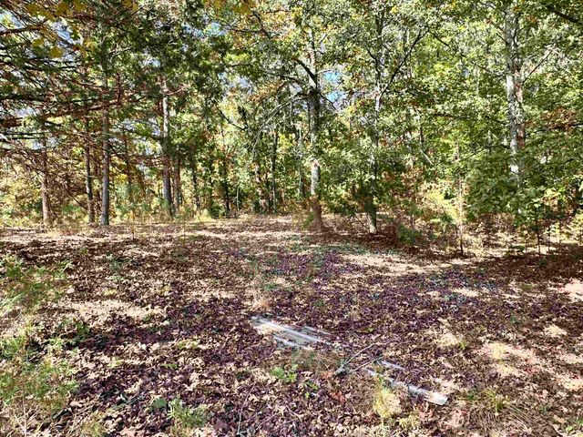 106 Edna Avenue, Highland, AR 72542