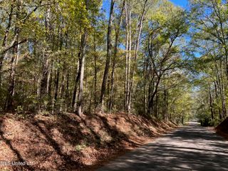 Xxx W A Walker Road, Mccomb, MS 39648