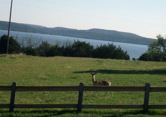 2334 Sanbar Road 58, Possum Kingdom Lake, TX 76449