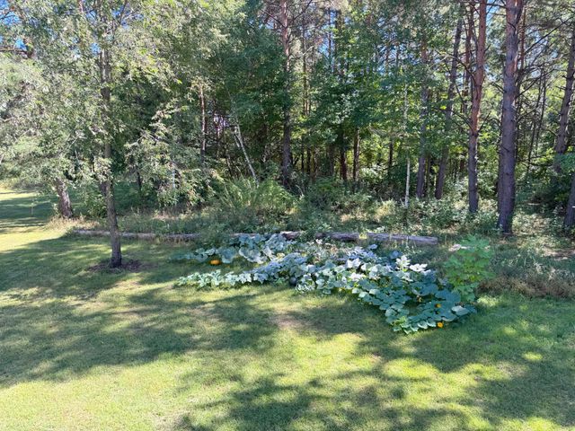 18943 Fillmore Street NE, East Bethel, MN 55011