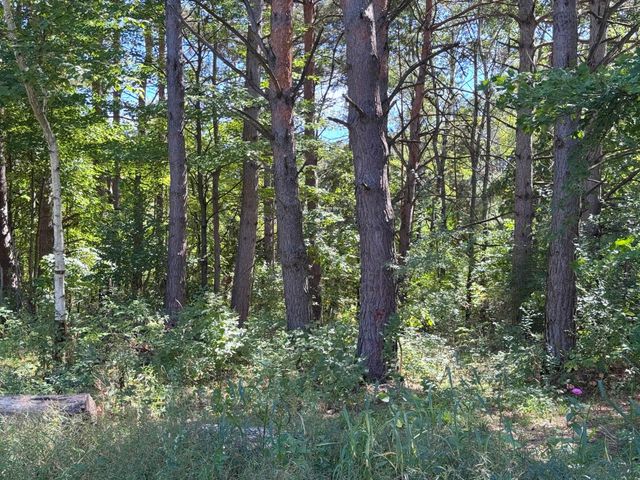 18943 Fillmore Street NE, East Bethel, MN 55011