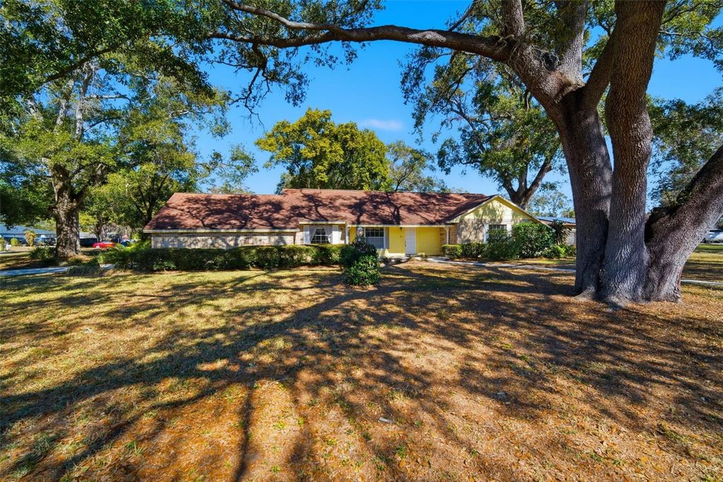 2207 PARKWOOD DRIVE, Valrico, FL 33594