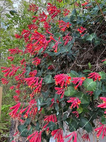 2106 Pear Tree Lane, Durham, NC 27703