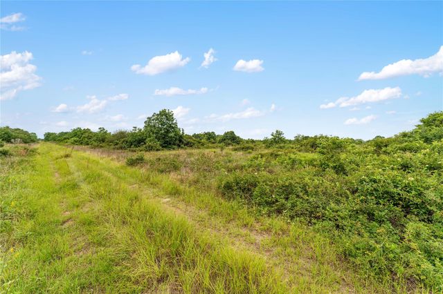 1055 Lisa Mae Road, Bellville, TX 77418