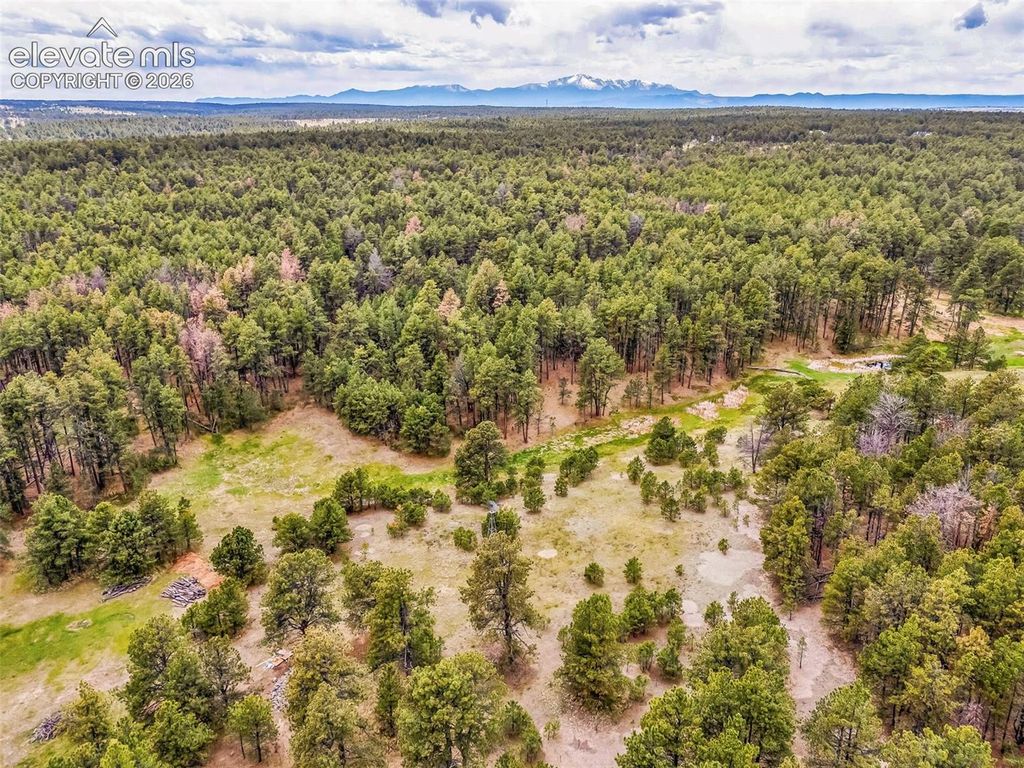 10655 Hardy Road, Colorado Springs, CO 80908 — photo 5