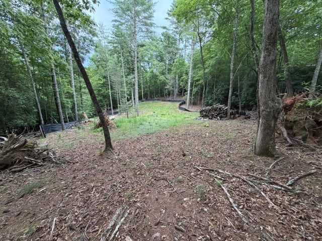 Lot 25 Bentwood Trail, Morganton, GA 30560
