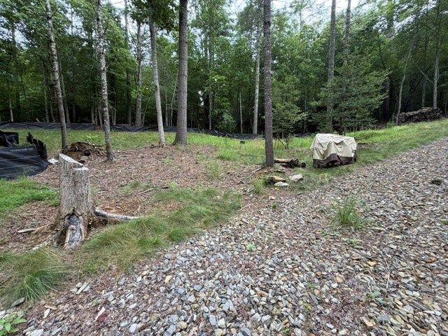Lot 25 Bentwood Trail, Morganton, GA 30560