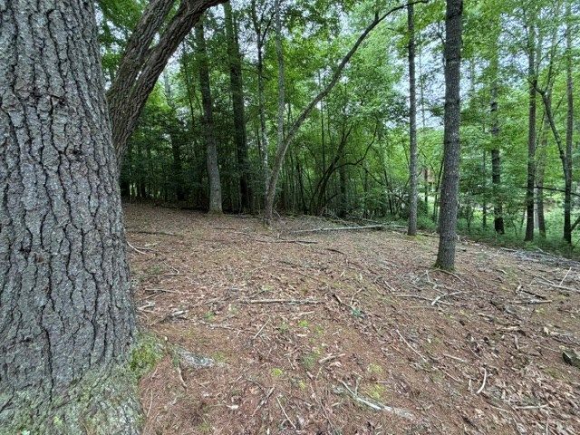 Lot 25 Bentwood Trail, Morganton, GA 30560