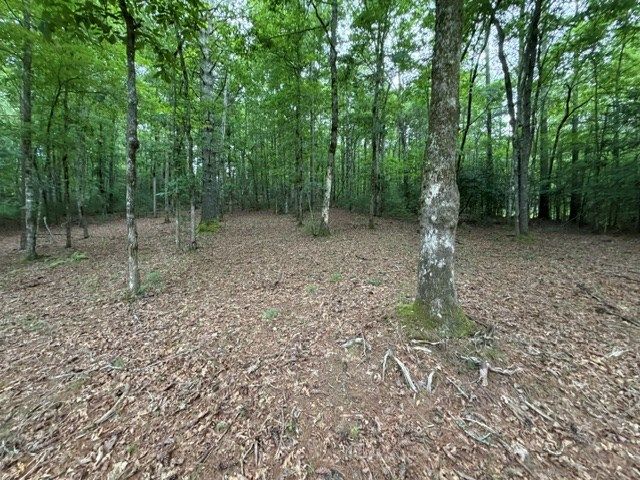 Lot 25 Bentwood Trail, Morganton, GA 30560