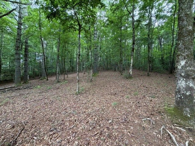 Lot 25 Bentwood Trail, Morganton, GA 30560