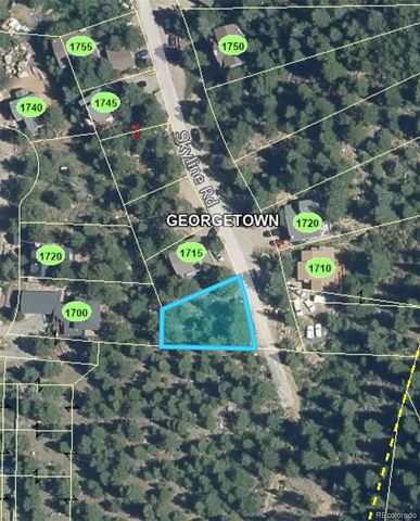 112 Skyline Road, Georgetown, CO 80444