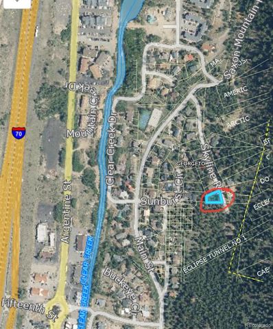 112 Skyline Road, Georgetown, CO 80444