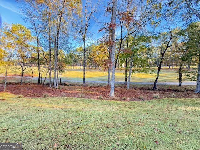 1159 Winged Foot Drive, Greensboro, GA 30642