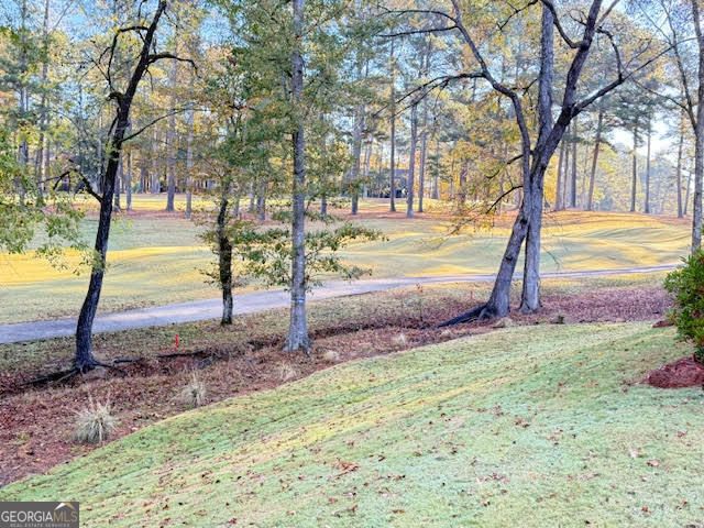 1159 Winged Foot Drive, Greensboro, GA 30642