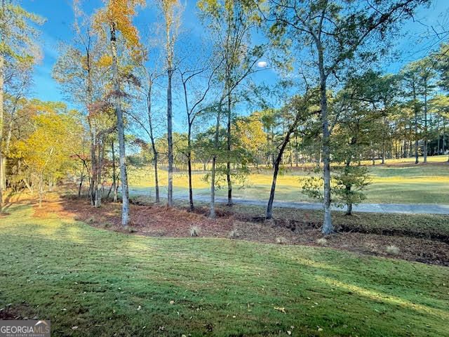 1159 Winged Foot Drive, Greensboro, GA 30642