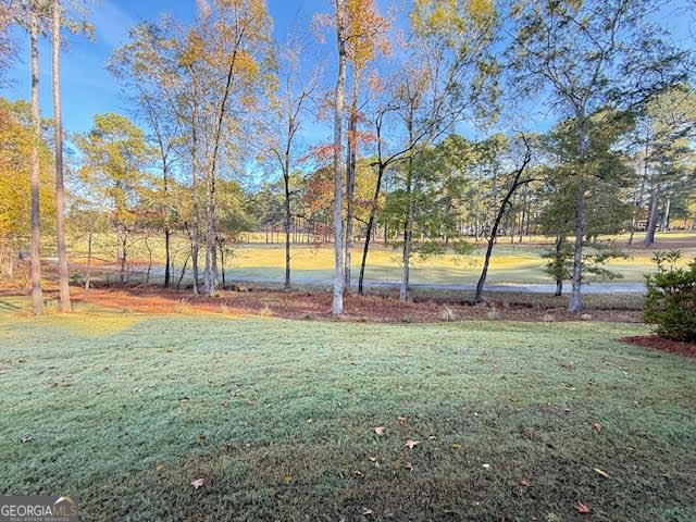 1159 Winged Foot Drive, Greensboro, GA 30642