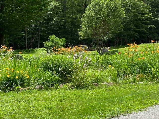 533 Juniper Hill Road, Stoddard, NH 03464