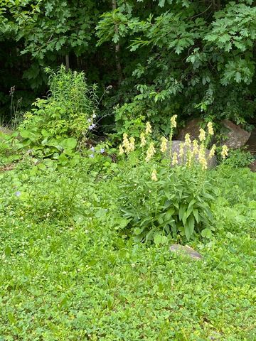 533 Juniper Hill Road, Stoddard, NH 03464