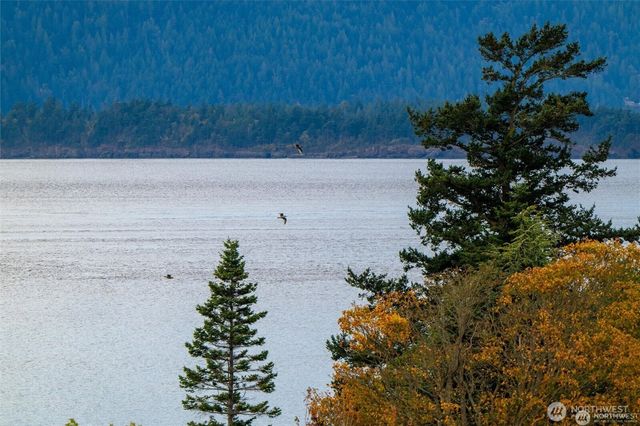 2383 W Shore Drive, Lummi Island, WA 98262